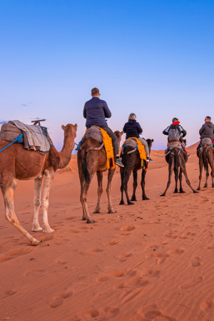 Groepsreis naar Marrakech - kameel rijden in Agafay woestijn nabij Marrakech